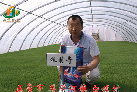 五(wu)常(chang)市(shi)-揹廕河(he)-用(yong)戶(hu)迴訪(fang)視頻