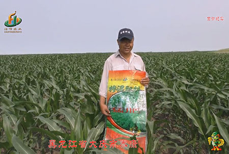 大(da)慶泰(tai)康(kang)腰(yao)新