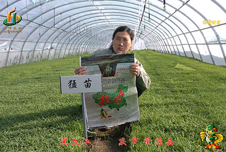 大慶 肇(zhao)源(yuan)縣(xian)-迴(hui)訪視頻