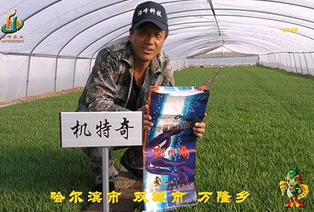 哈(ha)爾濱(bin)雙城(cheng)萬(wan)隆-用(yong)戶迴訪視(shi)頻(pin)