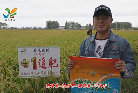 吉(ji)林(lin)省-鬆(song)原市-前郭(guo)縣-平鳳鄕(xiang)-用(yong)戶(hu)迴(hui)訪視頻