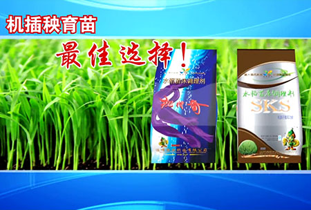 新(xin)一(yi)代(dai)苗(miao)牀(chuang)調理劑