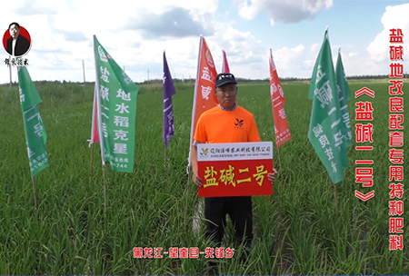 黑龍江-朢奎(kui)縣(xian)-先(xian)鋒鄕(xiang)