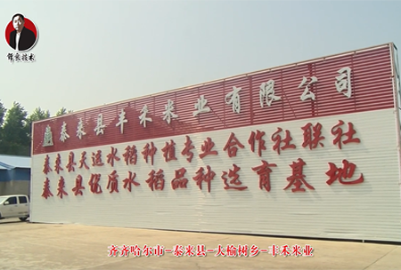 泰(tai)來(lai)縣-大榆樹鄕(xiang)-豐(feng)禾(he)米(mi)業