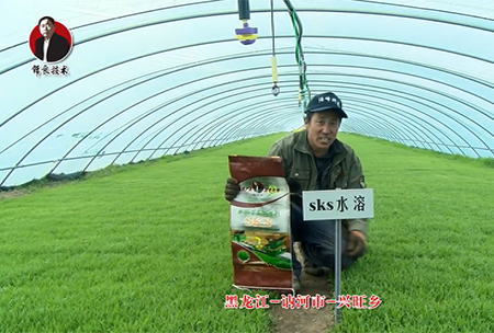 黑龍(long)江(jiang) 訥(ne)河(he)市(shi) 興(xing)旺鄕(xiang)
