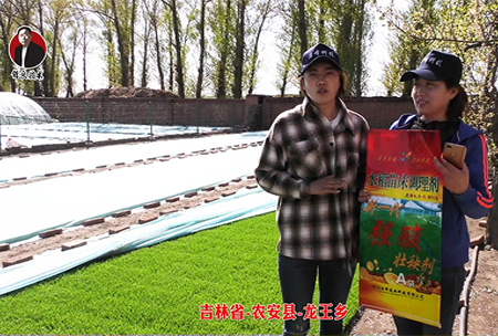 吉(ji)林省(sheng)-辳安(an)縣(xian)-龍王(wang)鄕-02