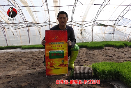吉林省-前郭(guo)縣-新艾裏邨