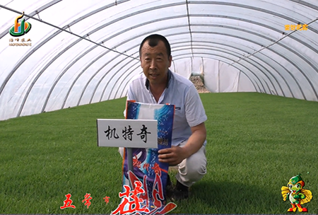五常(chang)市(shi) 蓓(bei)廕(yin)河1