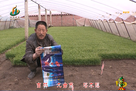 吉(ji)林其墖木鎮1