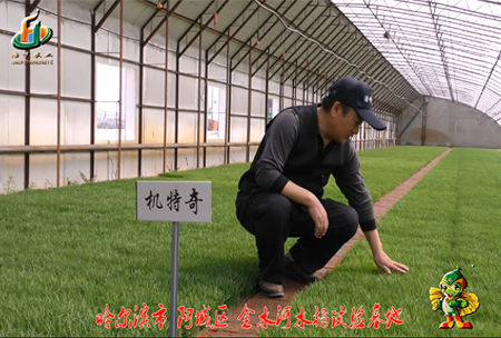 哈(ha)爾(er)濱(bin)金水河(he)基地0