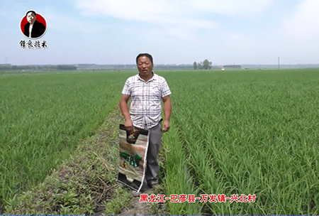 巴(ba)彥(yan)縣(xian)-萬髮(fa)鎮(zhen)-興(xing)北(bei)邨